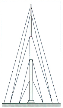 Telomast