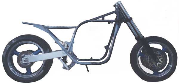 First pictures of Project ZED